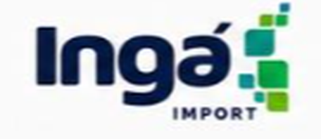 Logo Ingá Import